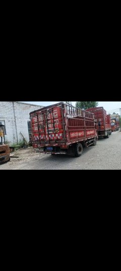 Foton Ollin CTS 146 hp 4X2 4.2 m - ფოტო 3