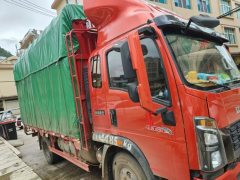 SINOTRUK HOWO Light Duty Truck Commander 160 hp 4X2 4.2 m - ფოტო 2