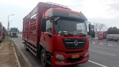 Dongfeng Tianjin KR 240 hp 4X2 6.8 m - ფოტო 1