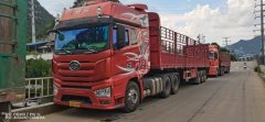 FAW Jiefang J7 550 hp 6X4 - ფოტო 2