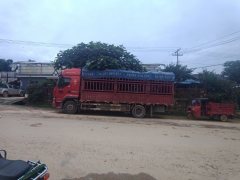 Dongfeng Liuzhou Chenglong H5 260 hp 4X2 6.8 m - ფოტო 1