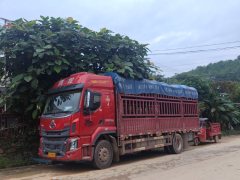 Dongfeng Liuzhou Chenglong H5 260 hp 4X2 6.8 m - ფოტო 2