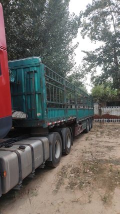 Dongfeng Tianlong KL 465 hp 6X4 - photo 3