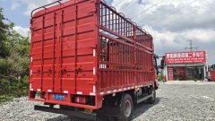 MAN Pioneer 170 hp 4X2 3.85 m - photo 4
