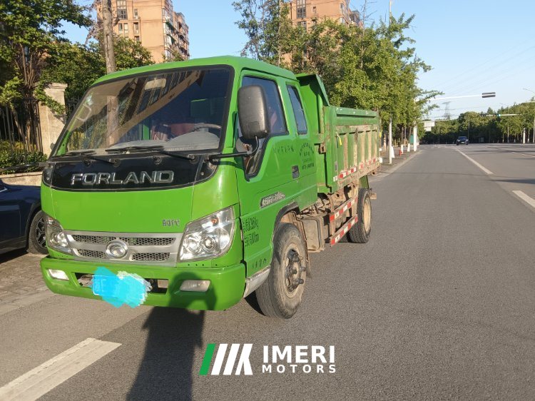 Foton Rowor Little King Kong 88 hp 4X2 3.3 m - truck from China