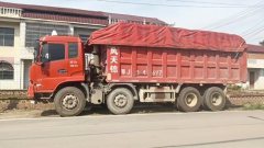 Dongfeng Tianjin 310 hp 8X4 6.8 m - ფოტო 1