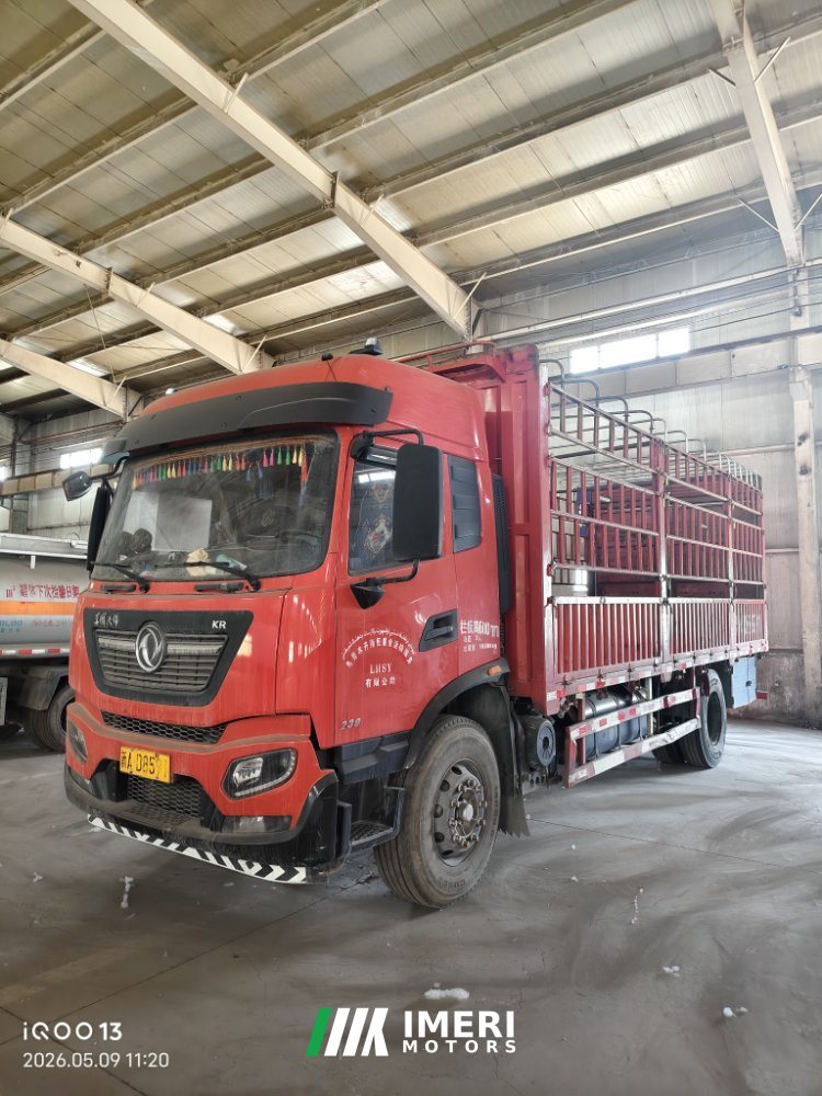 Dongfeng Tianjin KR 230 hp 4X2 6.8 m - სატვირთო ჩინეთიდან