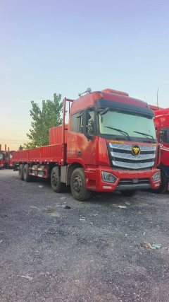 Foton Auman EST 460 hp 8X4 9.45 m - photo 4