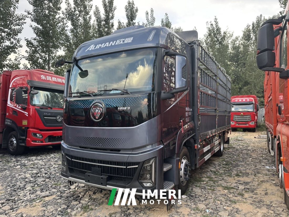 Foton Auman Galaxy 3 330 hp 4X2 6.2 m - truck from China