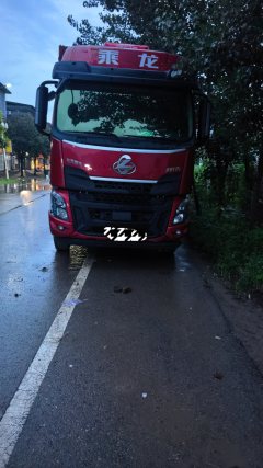 Dongfeng Liuzhou Chenglong H5 320 hp 4X2 9.6 m - ფოტო 2