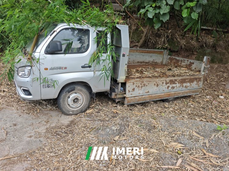 Foton Rowor Little King Kong 95 hp 4X2 3.3 m - სატვირთო ჩინეთიდან