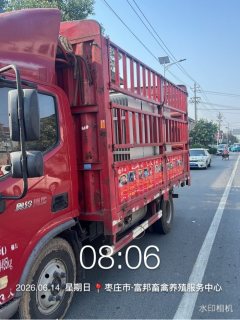 Foton Ollin Jiyun 156 hp 4X2 4.18 m - ფოტო 1