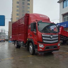 Foton Aumark S1 185 hp 4X2 4.17 m - ფოტო 3