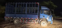 SINOTRUK HOWO Light Duty Truck Hanjiang 170 hp 4X2 5.2 m - ფოტო 1