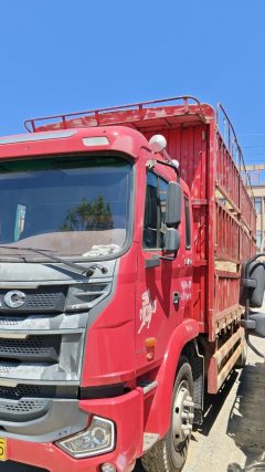 JAC Gallop Gelfa A5 220 hp 4X2 6.8 m - ფოტო 2
