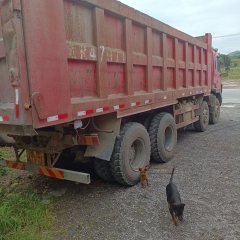 JAC Gallop Gelfa A5 350 hp 8X4 7.2 m - фото 3
