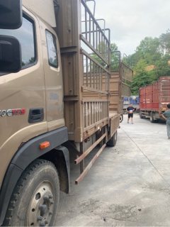 Foton Ollin Hornet 210 hp 4X2 6.8 m - photo 3