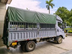 BYD T5 4.2 m - photo 3