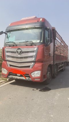 Foton Auman EST 428 hp 8X4 9.6 m - ფოტო 1