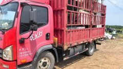 FAW Jiefang Tiggo V 160 hp 4X2 4.2 m - photo 6