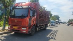 FAW Jiefang J6L 240 hp 4X2 6.2 m - ფოტო 3