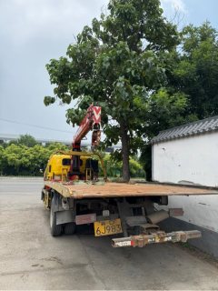 Foton Aumark S3 190 hp 4X2 7.2 m - ფოტო 4
