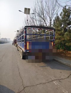 13 m x2.55 m 3 stake body semi-trailer - photo 1