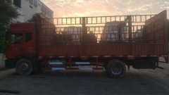 Dongfeng Duolika D9K 220 hp 4X2 6.8 m - ფოტო 1