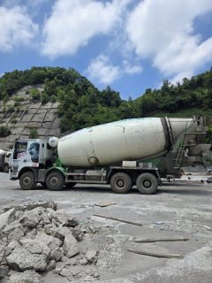 SAIC Hongyan Genlyon 390 hp 8X4 - ფოტო 2