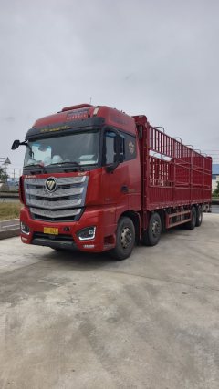 Foton Auman EST 460 hp 8X4 9.53 m - photo 1