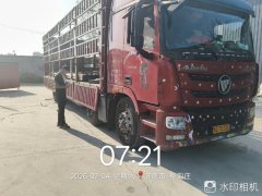 Foton Auman GTL 320 hp 6X2 9.56 m - ფოტო 1