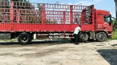 Foton Auman GTL 320 hp 6X2 9.56 m - ფოტო 4