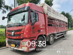 Foton Auman GTL 320 hp 6X2 9.56 m - ფოტო 5