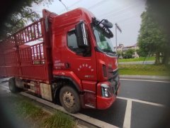 Dongfeng Liuzhou Chenglong H5 245 hp 4X2 6.8 m - ფოტო 3