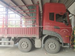 Dongfeng Tianlong 420 hp 8X4 9.6 m - ფოტო 1