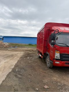 SINOTRUK HOWO Light Duty Truck Dream Chaser 170 hp 4X2 4.15 m - ფოტო 3