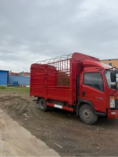 SINOTRUK HOWO Light Duty Truck Dream Chaser 170 hp 4X2 4.15 m - ფოტო 7