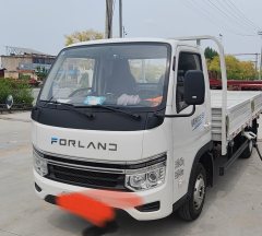 Foton Forland Navigator S1 4.17 m - photo 4