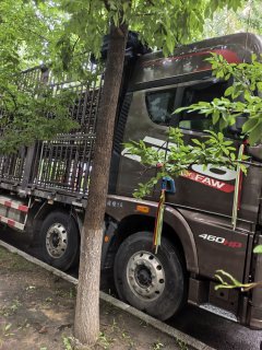 FAW Jiefang JH6 460 hp 8X4 9.6 m - ფოტო 2