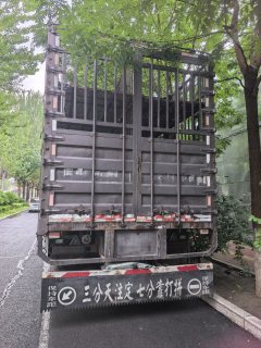FAW Jiefang JH6 460 hp 8X4 9.6 m - ფოტო 3