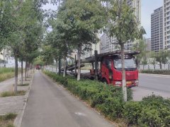 FAW Jiefang J6P 360 hp 4X2 - photo 5