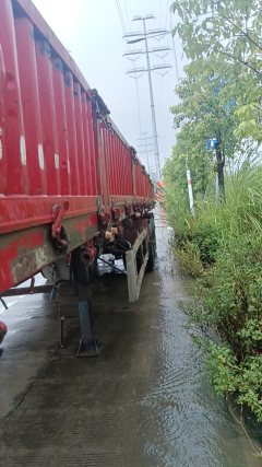 13 m x2.5 m 3 semi-trailer - ფოტო 3