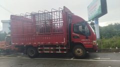 JAC J6 130 hp 4X2 4.18 m - фото 2
