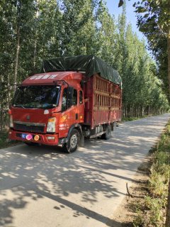 SINOTRUK HOWO Light Duty Truck Hanjiang 170 hp 4X2 3.85 m - ფოტო 1