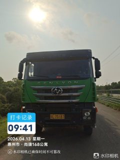 SAIC Hongyan Genlyon 350 hp 8X4 8.8 m - ფოტო 4