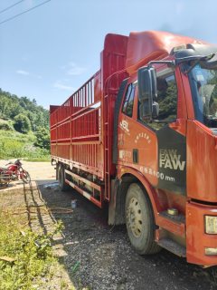 FAW Jiefang J6L 220 hp 4X2 6.8 m - ფოტო 1
