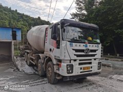 SAIC Hongyan Genlyon 320 hp 8X4 - ფოტო 2