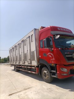 Dongfeng Tianjin KR 290 hp 4X2 - ფოტო 3