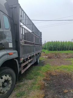 Sinotruk HOWO V5-X 220 hp 4X2 6.8 m - ფოტო 5