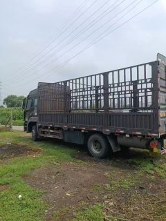 Sinotruk HOWO V5-X 220 hp 4X2 6.8 m - ფოტო 8